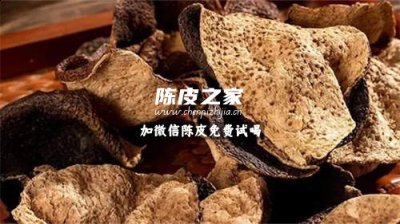 陳皮是否可以和桑樹葉一起泡水喝