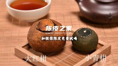 小青柑和大紅柑究竟哪個更好