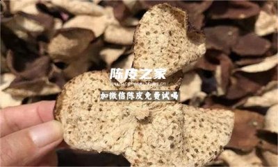 陳皮和車前草一起有什么用處