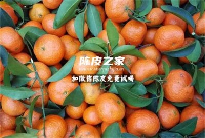 廣西八月沙糖桔做陳皮好嗎