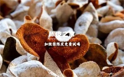 陳皮枳實生姜的功效與作用