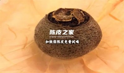 陳皮普洱茶上有白毛能喝嗎
