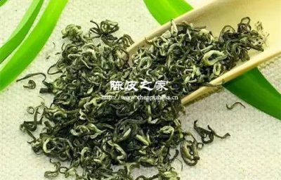 碧螺春能和老陳皮一起煮嗎