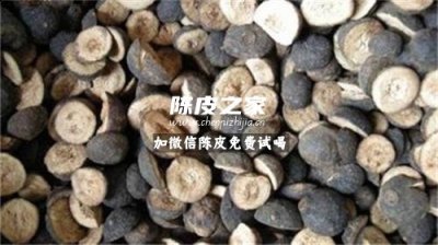 陳皮枳實生姜桃仁泡水的功效