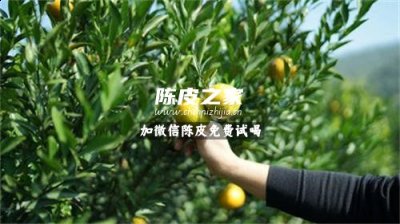 兒童用陳皮泡澡的功效是什么