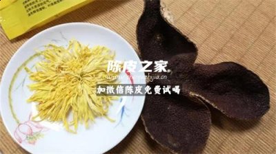 陳皮和胎菊泡在一起好不好