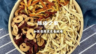 陳皮干姜大棗湯有什么功效