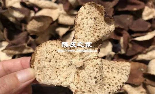 中藥材陳皮起什么作用的