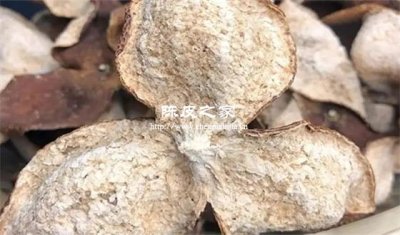 陳皮上面的白色內囊要去掉嗎