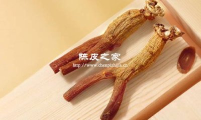 高麗參陳皮麥冬泡水喝功效