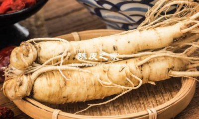 高麗參天麻陳皮一起的功效