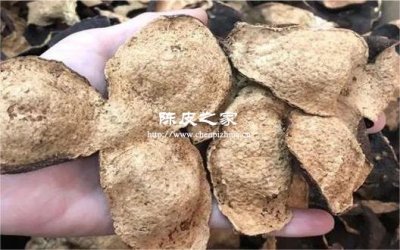 又厚又大的陳皮是什么做的