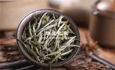 福鼎白茶跟陳皮煮水能喝嗎