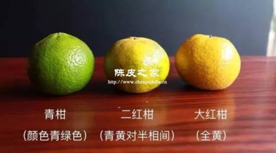 新會陳皮大紅柑和青皮柑的區別