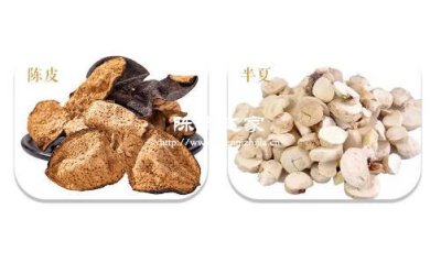 陳皮與半夏同用功效與作用及禁忌