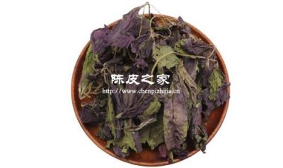 紫蘇葉加陳皮能治咳嗽嗎