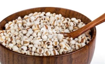 新會陳皮和什么泡水能祛濕