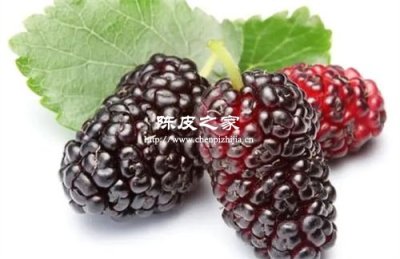 桑葚玫瑰花陳皮泡水喝的功效