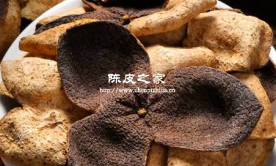 淘寶買的99元一斤的陳皮可以吃嗎