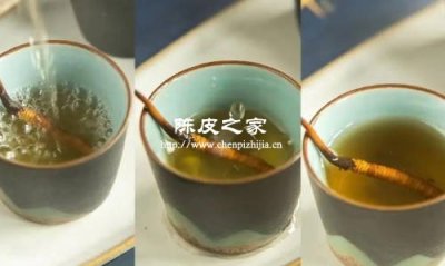 陳皮可以和蟲草一起泡水喝嗎