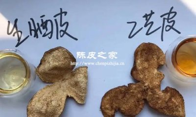 真陳皮和假陳皮的外觀區別