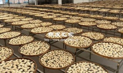 陳皮可以一直放在室內晾曬嗎