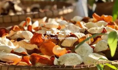 陳皮是直接放在玻璃瓶里曬嗎