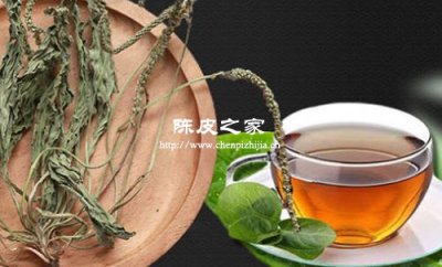 車前草能和陳皮一起泡水喝嗎