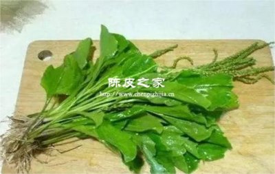 車前草連翹陳皮可以一起煮水喝嗎