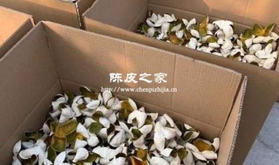 陳皮可以放在紙箱里保存么