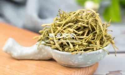 陳皮和金銀花干姜泡水的功效