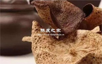 10年的陳皮要煮多久合適