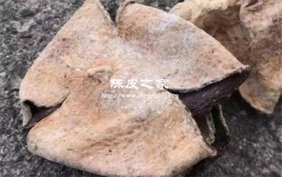 陳皮發霉了怎么辦？還能吃嗎？