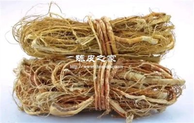 老陳皮要怎樣喝對小孩子好