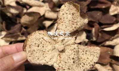 幾千元一斤的陳皮會(huì)有苦味嗎