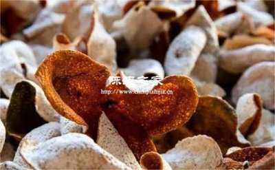 陳皮加生姜和紅糖治咳嗽嗎