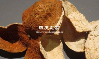 陳皮一定是新會的才有價值嗎