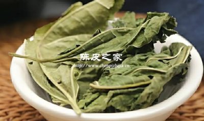 陳皮桑葉泡水喝的功效和作用