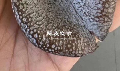 八年陳皮上有發白是不是壞