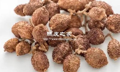 陳皮加春砂仁泡水喝的功效