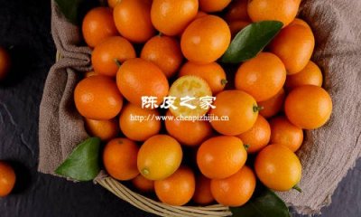 金桔可以跟陳皮泡水用來止咳嗎