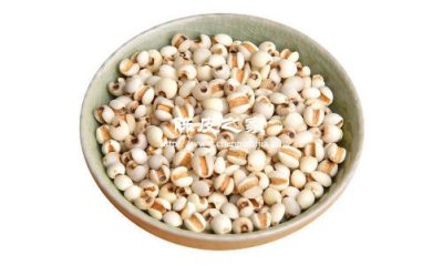 薏仁米加陳皮一起煮的功效