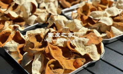制做陳皮可以叫太陽曬干嗎