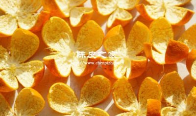 正宗的陳皮是什么皮做的