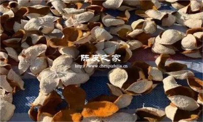 陳皮在存放過(guò)程中需要曬太陽(yáng)嗎