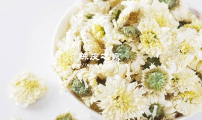 白菊花和陳皮泡水喝的功效