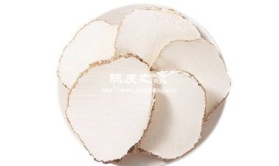 虎奶菌能和靈芝陳皮煲湯嗎