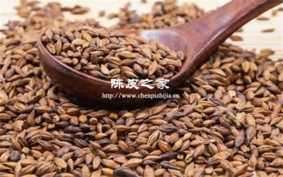 陳皮可以和大麥一起泡水嗎