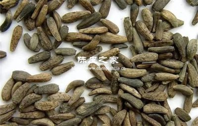 陳皮和牛蒡子一起泡水喝的功效