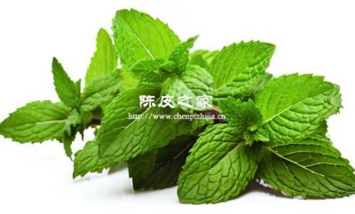 老陳皮加薄荷加冰糖一起泡水是可以的嗎